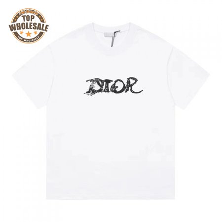 Dior Homme X Peter Doig Oversized Logo T-Shirt White
