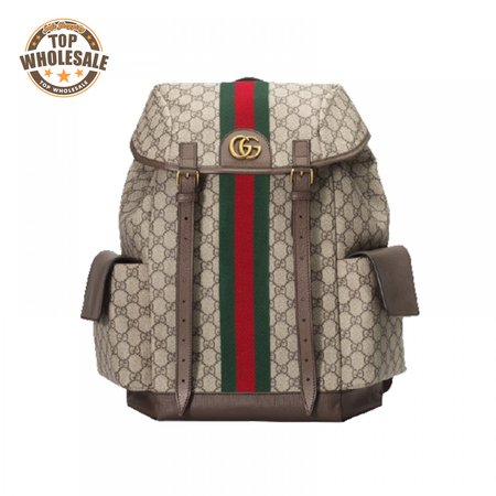 Gucci Ophidia Gg Backpack - GBP107