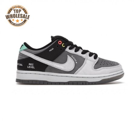 Dunk Low SB 'Camcorder' Men's
