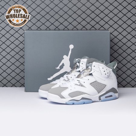 Air Jordan 6 Cool Grey CT8529-100 Men's