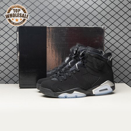 Jordan 6 Metallic Silver DX2836-001 Men's