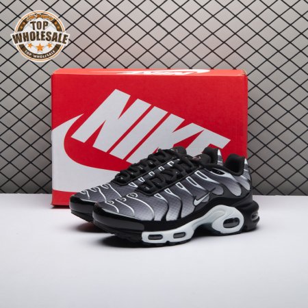 Nike Air Max Plus Black Silver White DM0032-003 Unisex